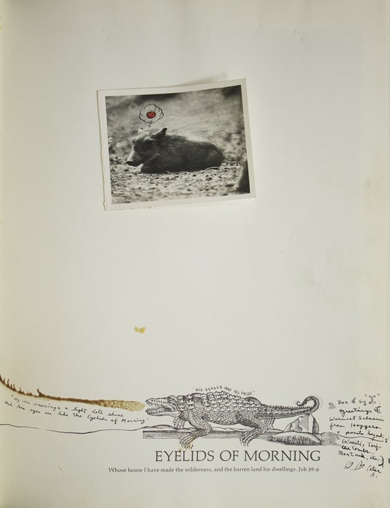 Eyelids of Morning. The Mingled Destinies of Crocodiles and Men …