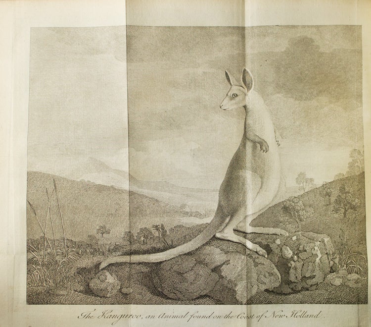 An Account of the Voyages Undertaken by the Order of His Present Majesty for Making Discoveries in the Southern Hemisphere, and successively performed by Commodore Byron, Captain Wallis, Captain Carteret, and Captain Cook, in the Dolphin, the Swallow, and the Endeavour