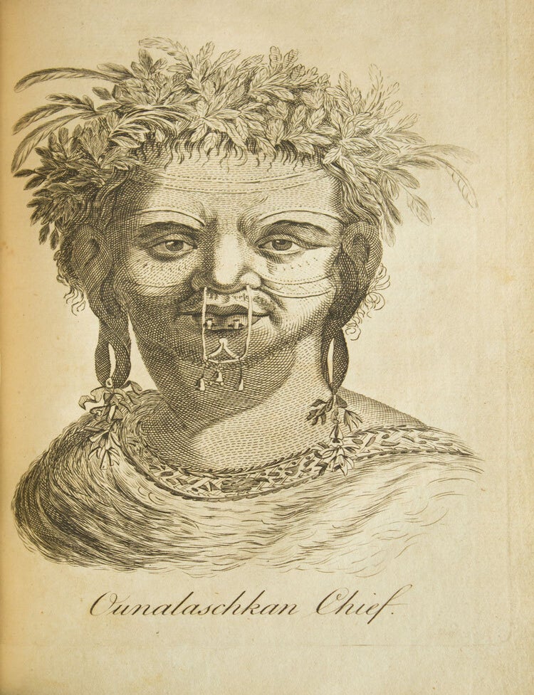 Journal of Captain Cook's Last Voyage to the Pacific Ocean, on Discovery; Performed in the Years 1776, 1777, 1778, 1779