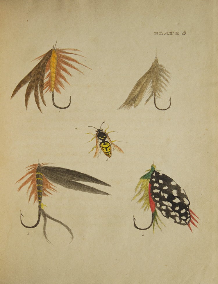The Fly Fisher's Guide (5/5)