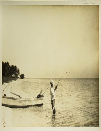 “Permit: A Rare Game Fish of the Coral Shoals”: Typescript, with annotations in Grey's hand