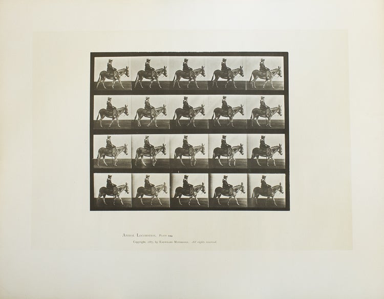 Animal Locomotion. An Electro-Photographic Investigation of Consecutive Phases of Animal Movements