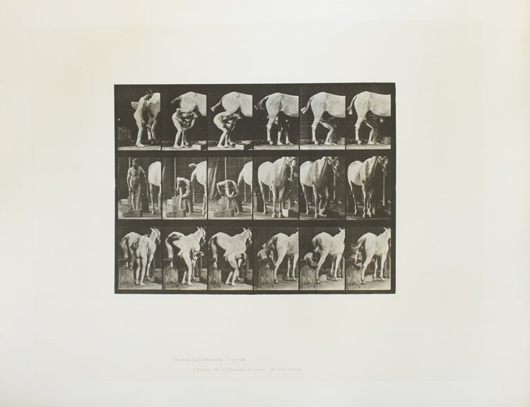 Animal Locomotion. An Electro-Photographic Investigation of Consecutive Phases of Animal Movements