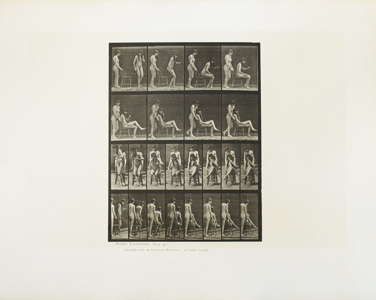 Animal Locomotion. An Electro-Photographic Investigation of Consecutive Phases of Animal Movements