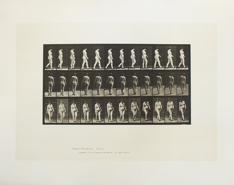 Animal Locomotion. An Electro-Photographic Investigation of Consecutive Phases of Animal Movements