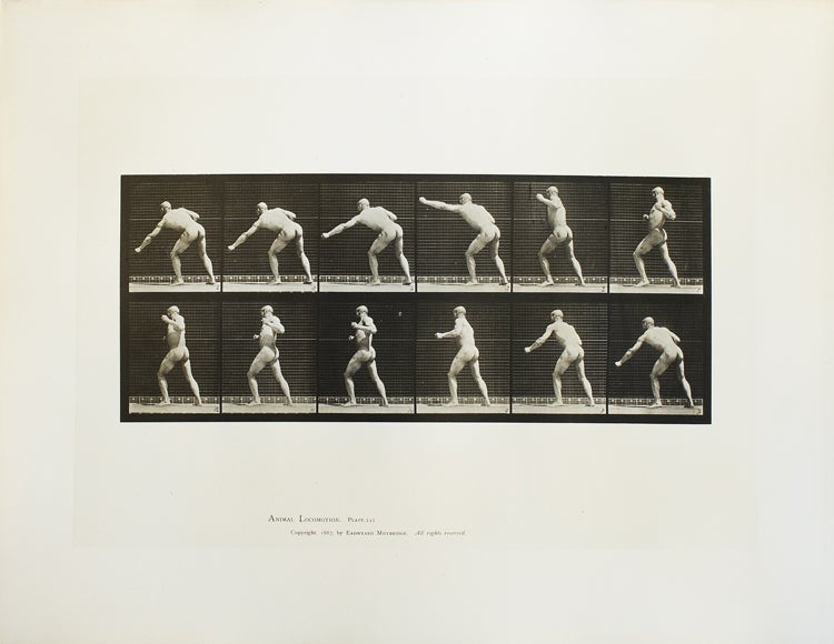Animal Locomotion. An Electro-Photographic Investigation of Consecutive Phases of Animal Movements