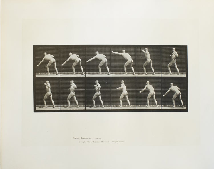 Animal Locomotion. An Electro-Photographic Investigation of Consecutive Phases of Animal Movements
