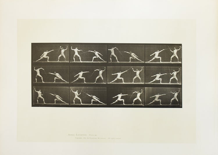 Animal Locomotion. An Electro-Photographic Investigation of Consecutive Phases of Animal Movements