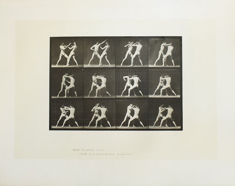 Animal Locomotion. An Electro-Photographic Investigation of Consecutive Phases of Animal Movements