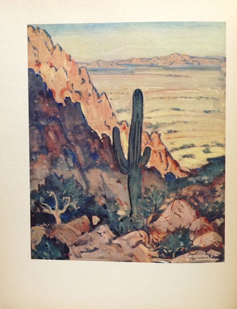 Game in the Desert