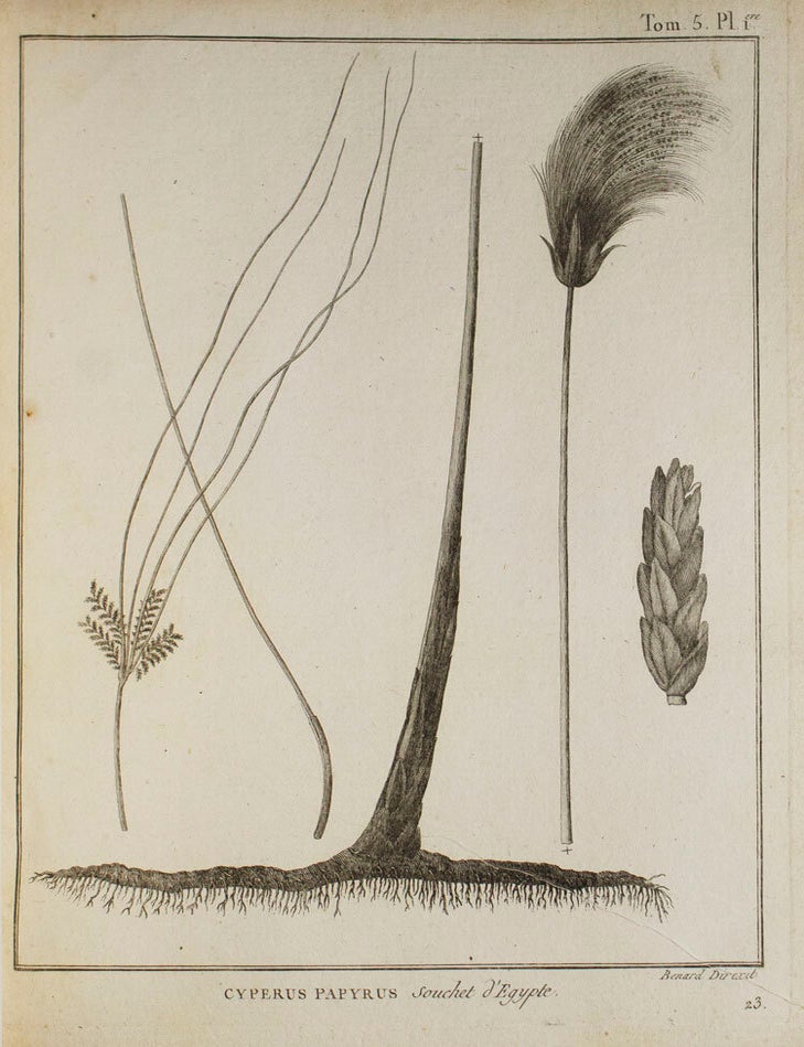 Voyage en Nubie et en Abyssinie, entrepris pour d&eacute;couvrir les sources du Nil, pendant les ann&eacute;es 1768, 1769, 1770, 1771, 1772 & 1773. Par M. James Bruce. Traduit de l'Anglois, par M. Castera