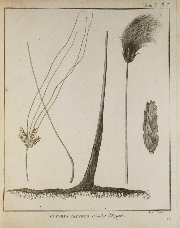 Voyage en Nubie et en Abyssinie, entrepris pour découvrir les sources du Nil, pendant les années 1768, 1769, 1770, 1771, 1772 & 1773. Par M. James Bruce. Traduit de l'Anglois, par M. Castera