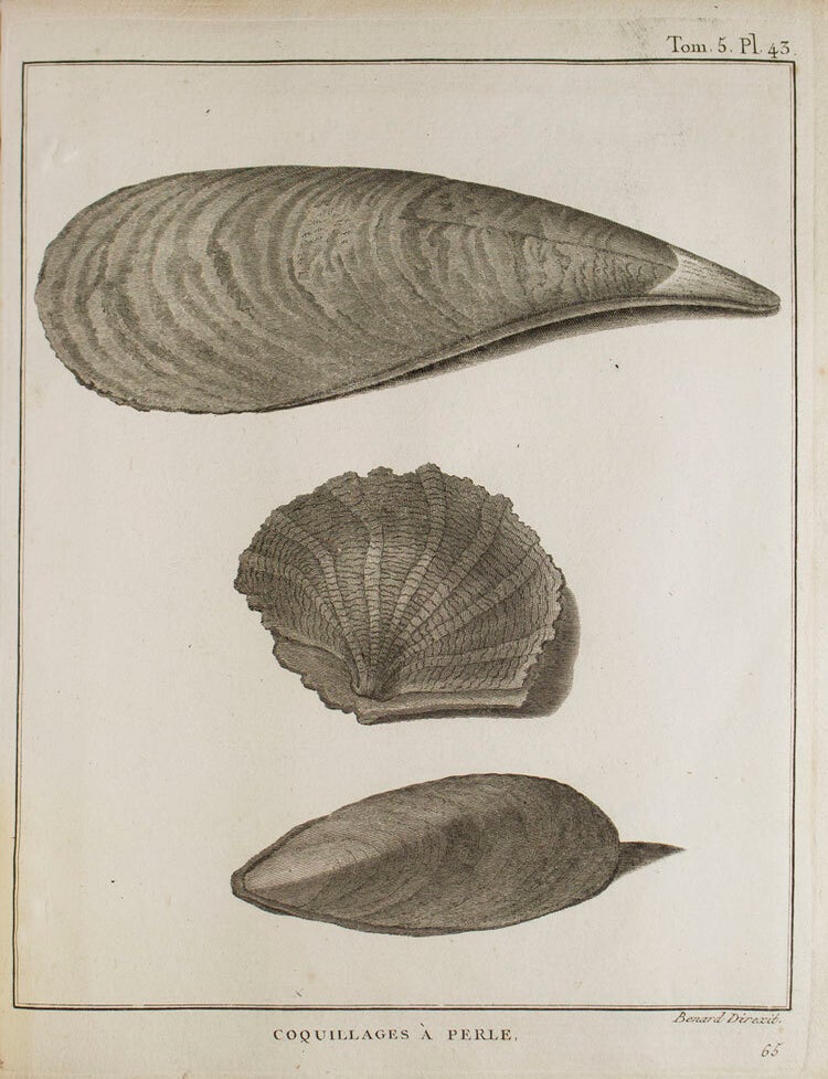 Voyage en Nubie et en Abyssinie, entrepris pour d&eacute;couvrir les sources du Nil, pendant les ann&eacute;es 1768, 1769, 1770, 1771, 1772 & 1773. Par M. James Bruce. Traduit de l'Anglois, par M. Castera