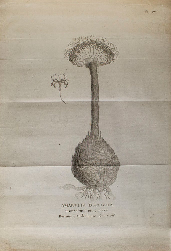 Voyage en Nubie et en Abyssinie, entrepris pour découvrir les sources du Nil, pendant les années 1768, 1769, 1770, 1771, 1772 & 1773. Par M. James Bruce. Traduit de l'Anglois, par M. Castera