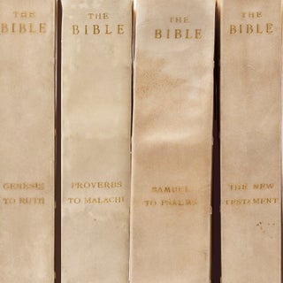 Item #315468 The Holy Bible. Bible, Stephen Gooden