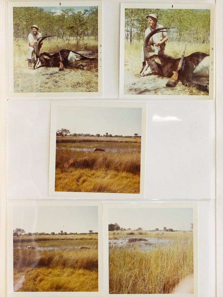 Big Game Hunting in Botswana