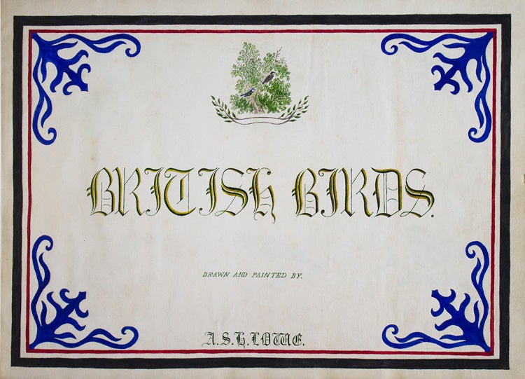 British Birds. Drawn and Painted by A.S.H. Lowe [Manuscript title]