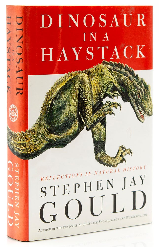 Dinosaur in a Haystack