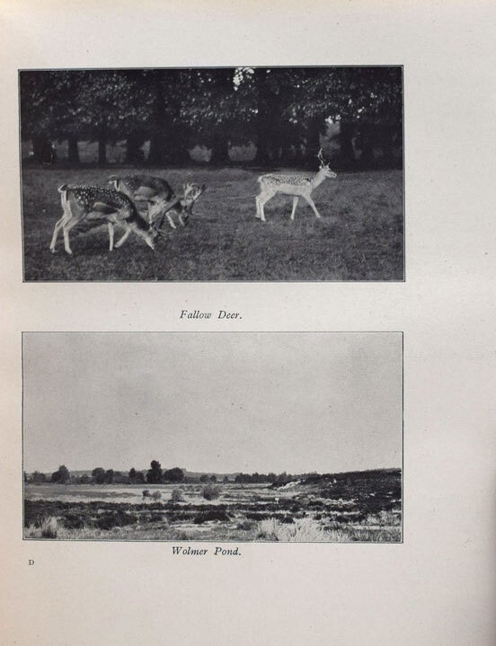The Natural History of Selborne with Notes by Richard Kearton, F.Z.S