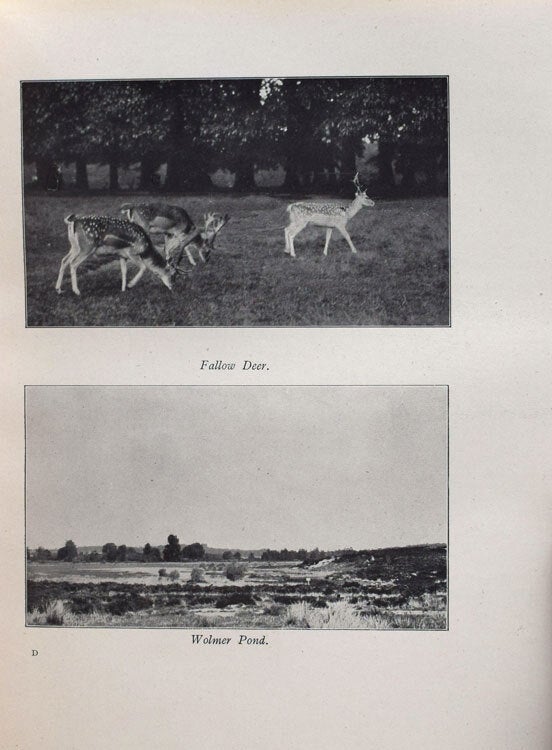 The Natural History of Selborne with Notes by Richard Kearton, F.Z.S
