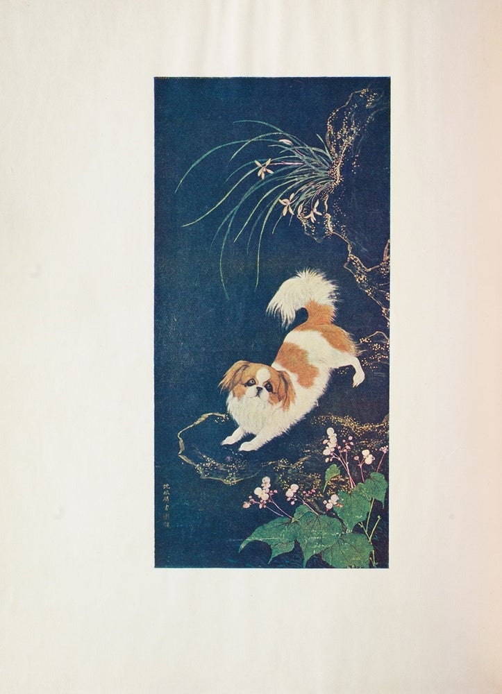 Dogs of China & Japan. In Nature and Art