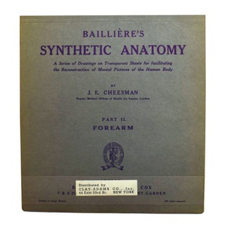 Baillière's Synthetic Anatomy
