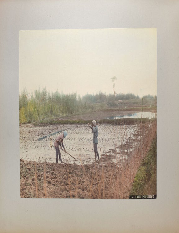 Album of Japanese 8 hand-coloured photographs and 14 others mostly Mexican including birds eye view of the city of Zacatecas, Statues of Guitlahuac, Hotel del Jardin, water carere, La Viga tipped into an album