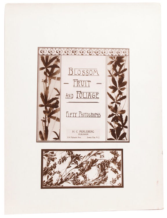 Blossom Fruit and Foliage. Fifty Photographs