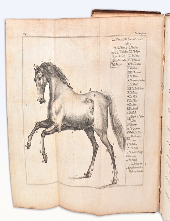 Practical Farriery; or, the Complete Directory in Whatever Relates to the Food, Management, and Cure of the Diseases Incident to Horse