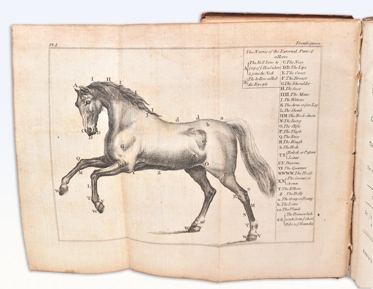 Practical Farriery; or, the Complete Directory in Whatever Relates to the Food, Management, and Cure of the Diseases Incident to Horse