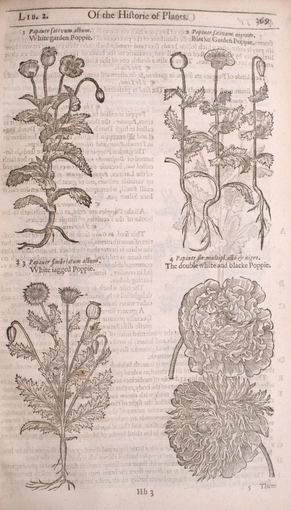 The herball or Generall historie of plantes. Gathered by Iohn Gerarde of London Master in Chirurgerie very much enlarged and amended by Thomas Iohnson citizen and apothecarye of London