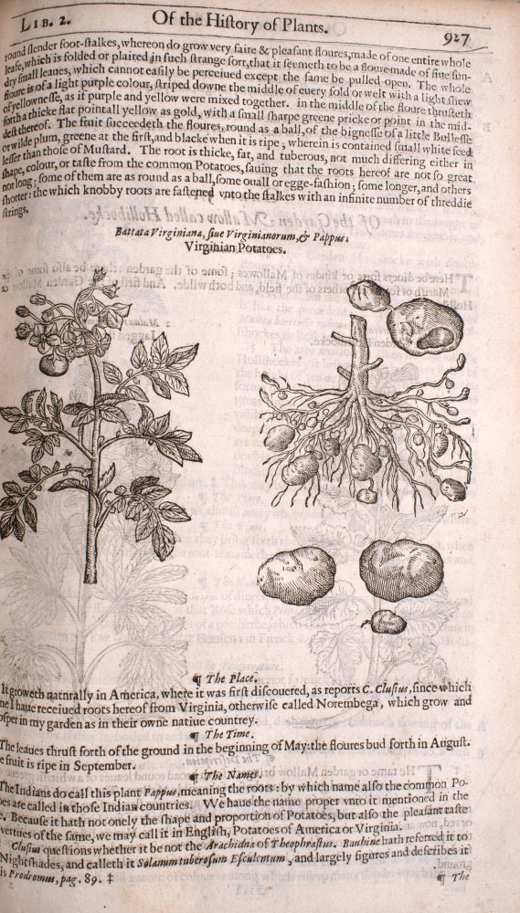 The herball or Generall historie of plantes. Gathered by Iohn Gerarde of London Master in Chirurgerie very much enlarged and amended by Thomas Iohnson citizen and apothecarye of London