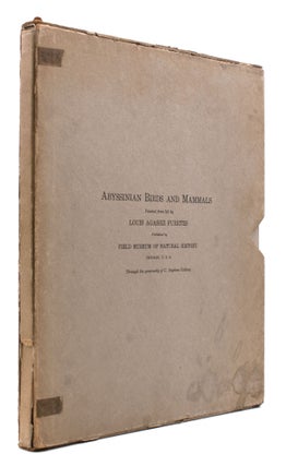 Item #323758 Album of Abyssinaian Birds and Mammals. Louis Agassiz Fuertes