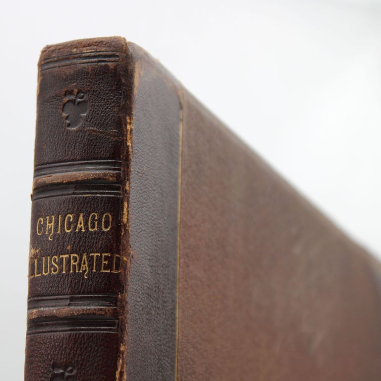 Chicago Illustrated. 1830. 1866. Literary Description by James W. Sheahan Esq. Illustrations by... (2/17)