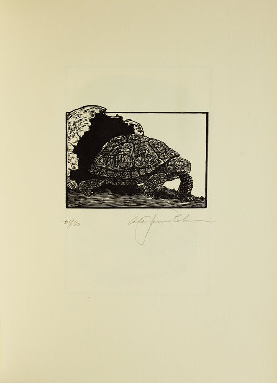 Tortoises. Six Poems by D.H. Lawrence...With an Introduction by Jefferson Hunter