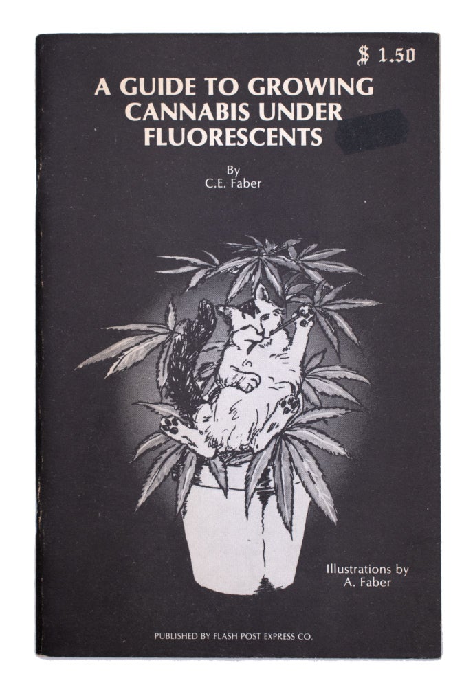A Guide to Growing Cannabis Under Fluorescents