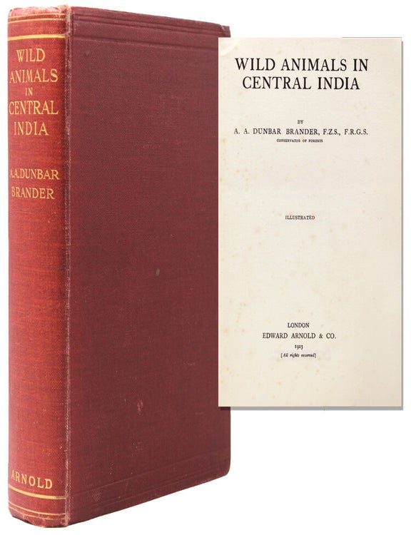 Wild Animals in Central India