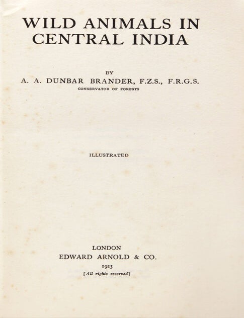 Wild Animals in Central India