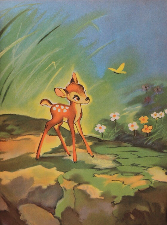 Bambi First Rdition Walt Disney's Bambi - First Edition