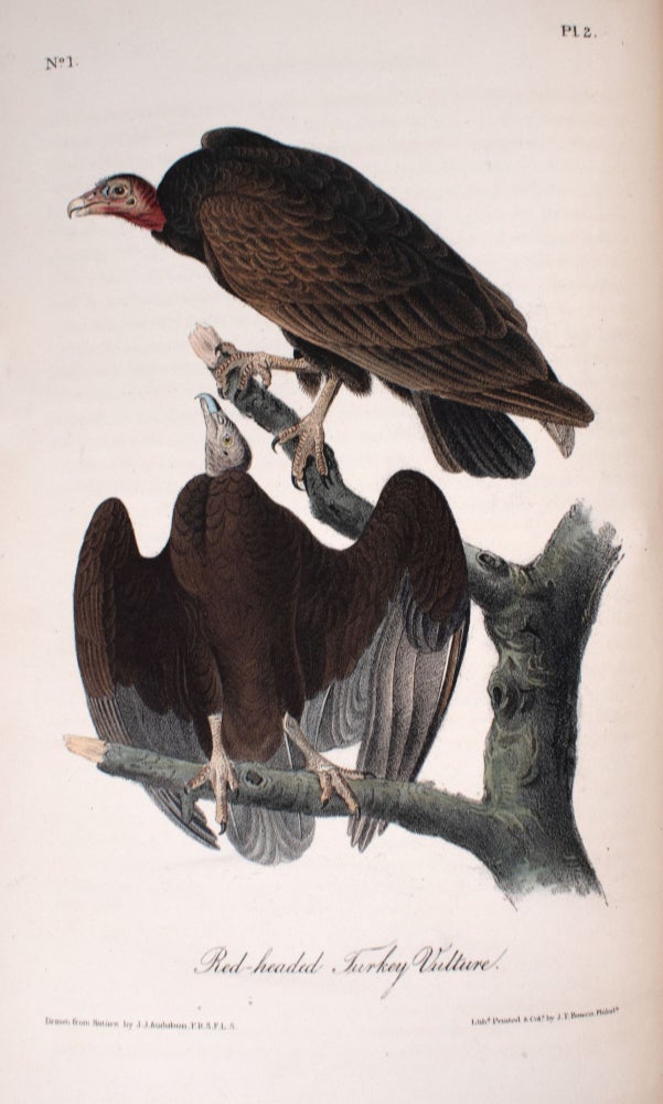 The Birds of America, from Drawings Made in the United States and Their Territories