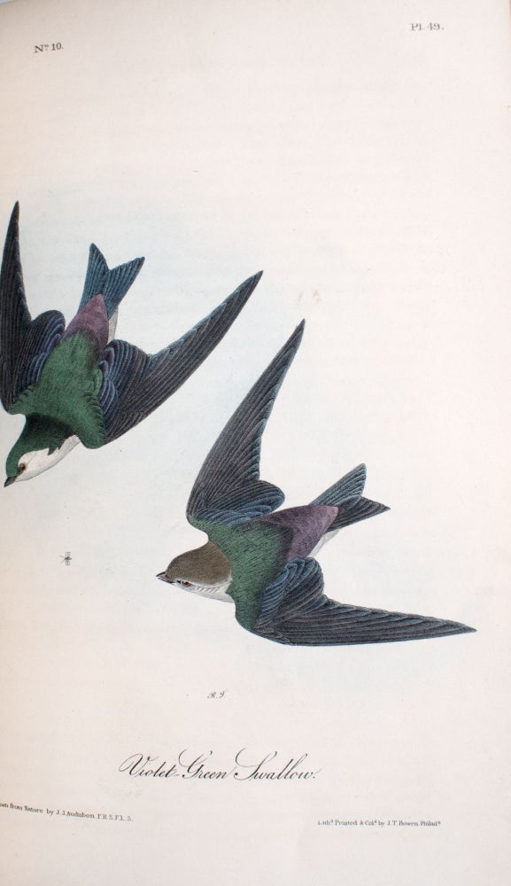 The Birds of America, from Drawings Made in the United States and Their Territories