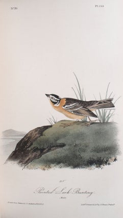 The Birds of America, from Drawings Made in the United States and Their Territories