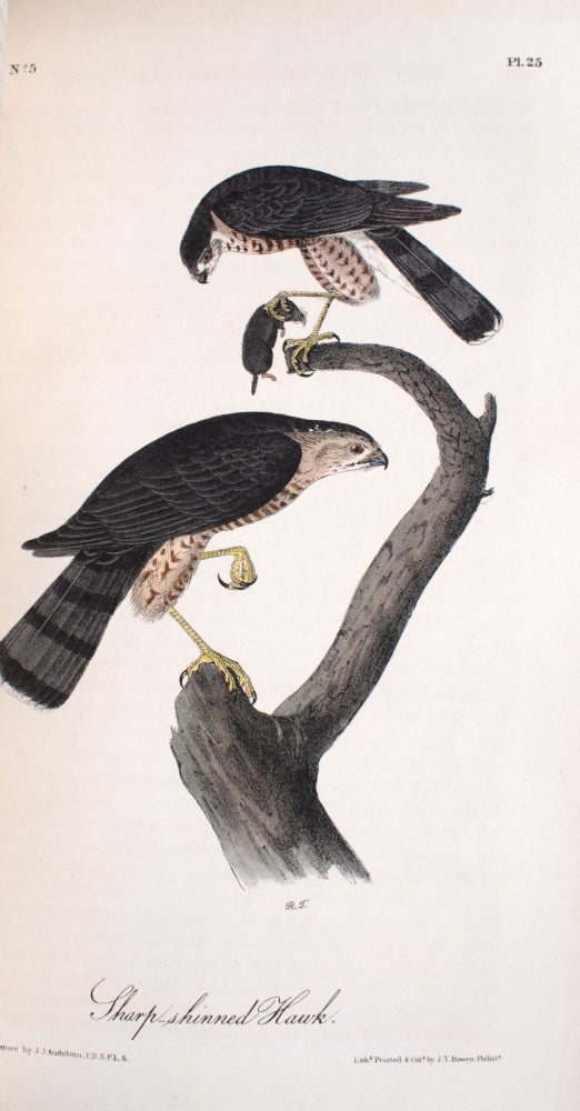 The Birds of America, from Drawings Made in the United States and Their Territories
