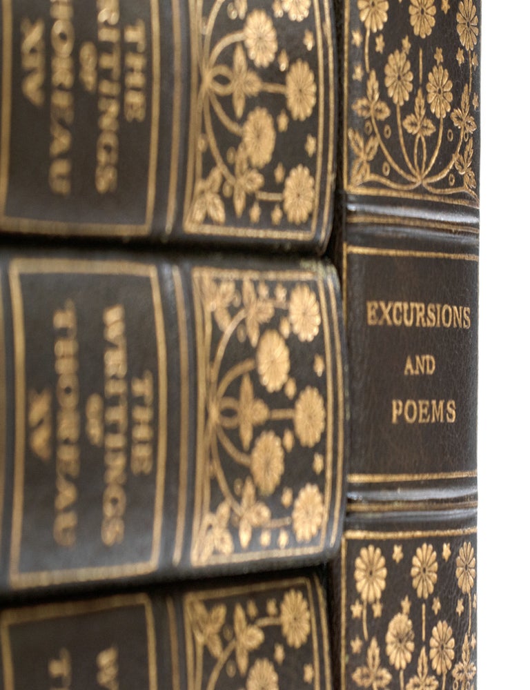 Autograph Manuscript from Excursions [inserted in:] The Writings in Twenty Volumes