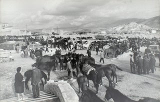 Item #353842 Untitled [Mule Market, Sicily]. Harry Lapow