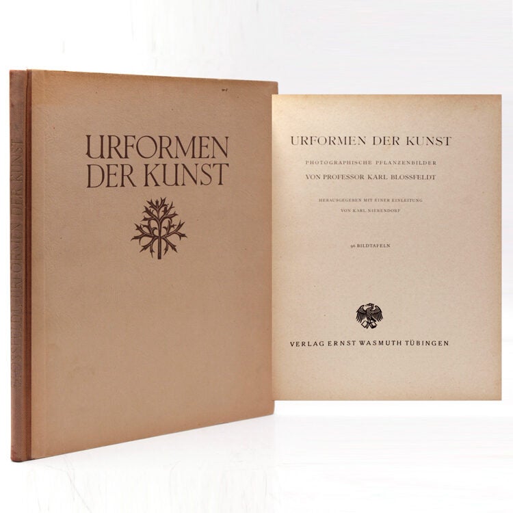 Urformen der Kunst. Photographische Pflanzenbilder...Herausegeben mit Einleitung von Karl Nierendorf