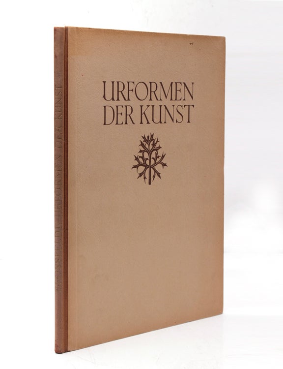 Urformen der Kunst. Photographische Pflanzenbilder...Herausegeben mit Einleitung von Karl Nierendorf