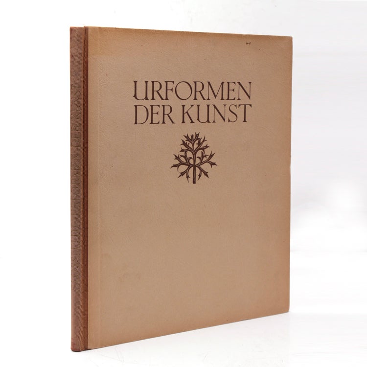 Urformen der Kunst. Photographische Pflanzenbilder...Herausegeben mit Einleitung von Karl Nierendorf