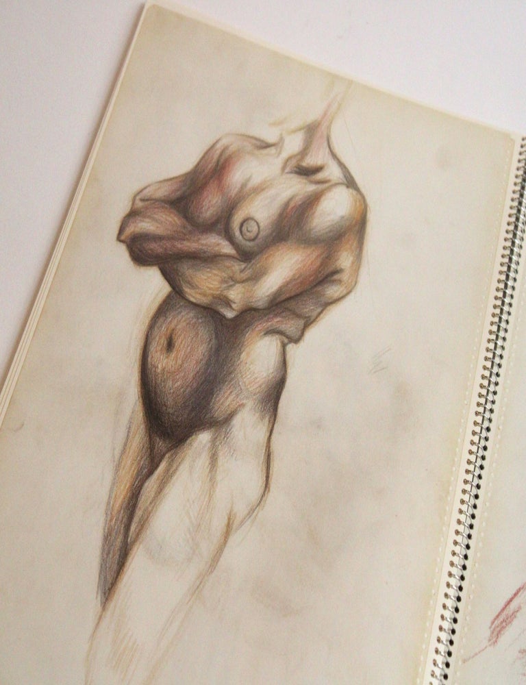The Jackson Pollock Sketchbooks in the Metropolitan Museum of Art