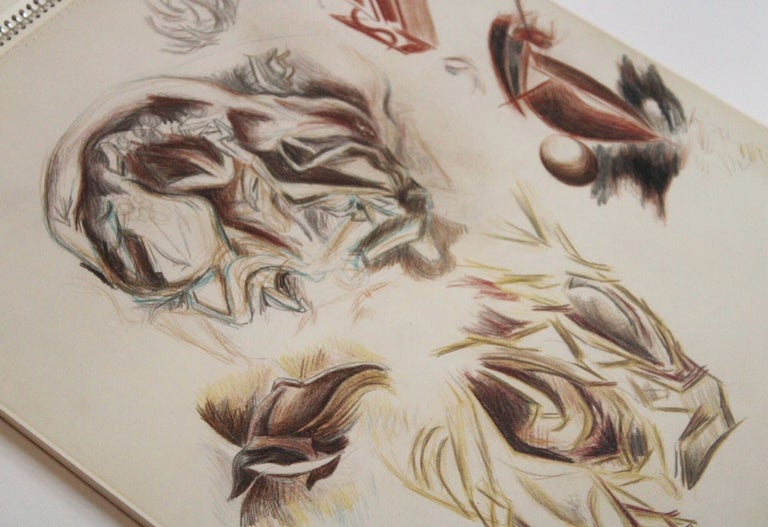 The Jackson Pollock Sketchbooks in the Metropolitan Museum of Art